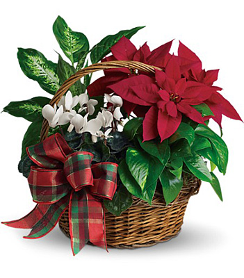 Holiday Homecoming Basket from In Full Bloom in Farmingdale, NY